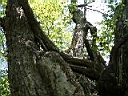 2007-05-22 010.JPG